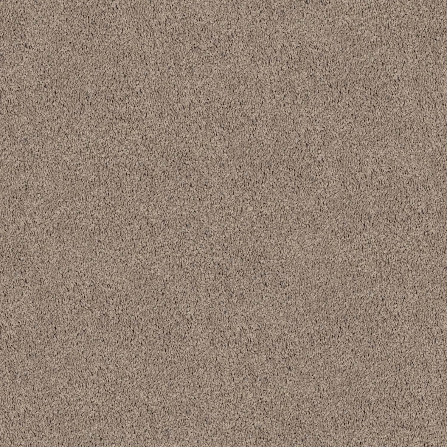 spring Shades — Spring Shades 14 Warm Sand