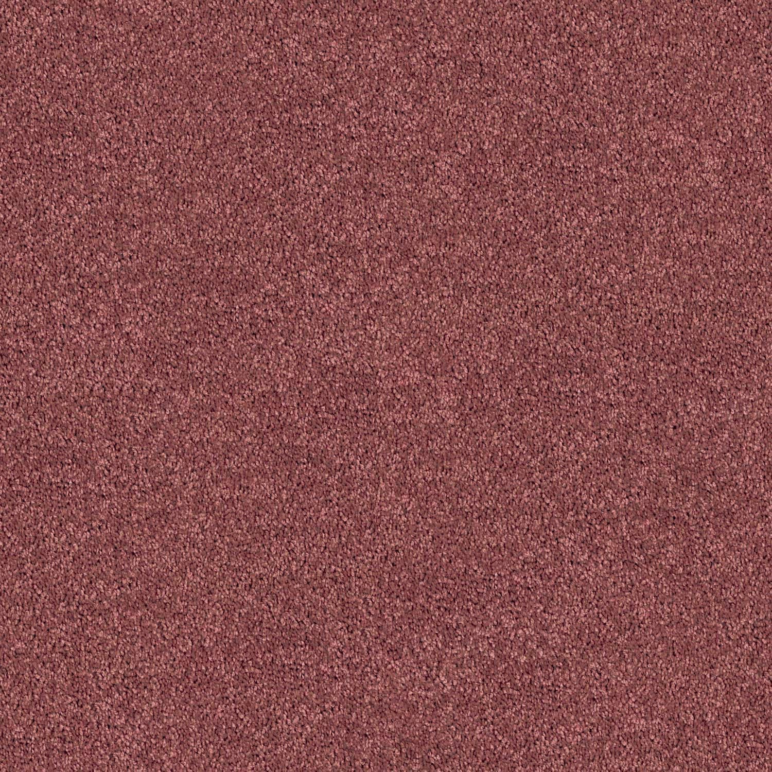spring Shades — Spring Shades 23 Fuchsia Gum