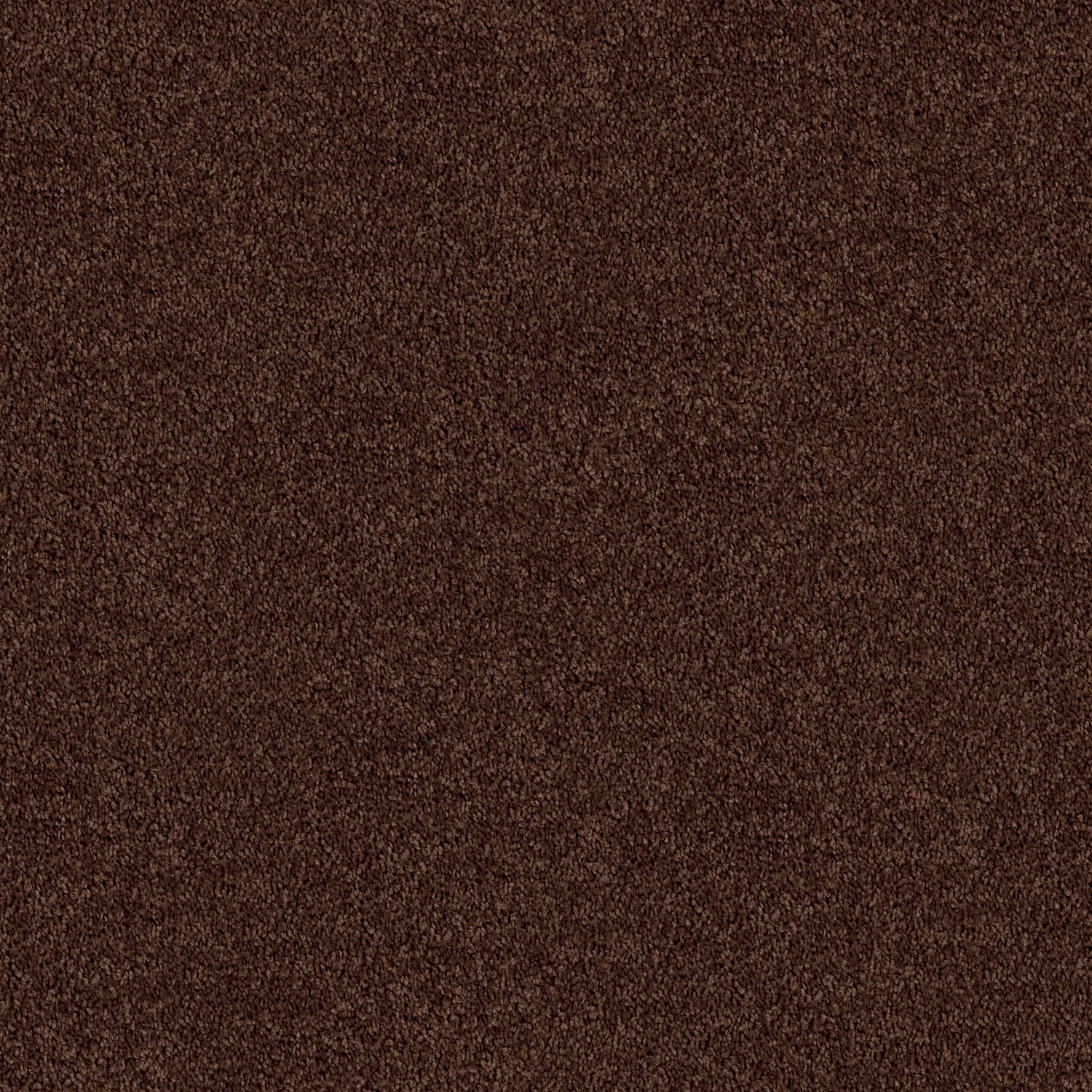 spring Shades — Spring Shades 46 Cocoa