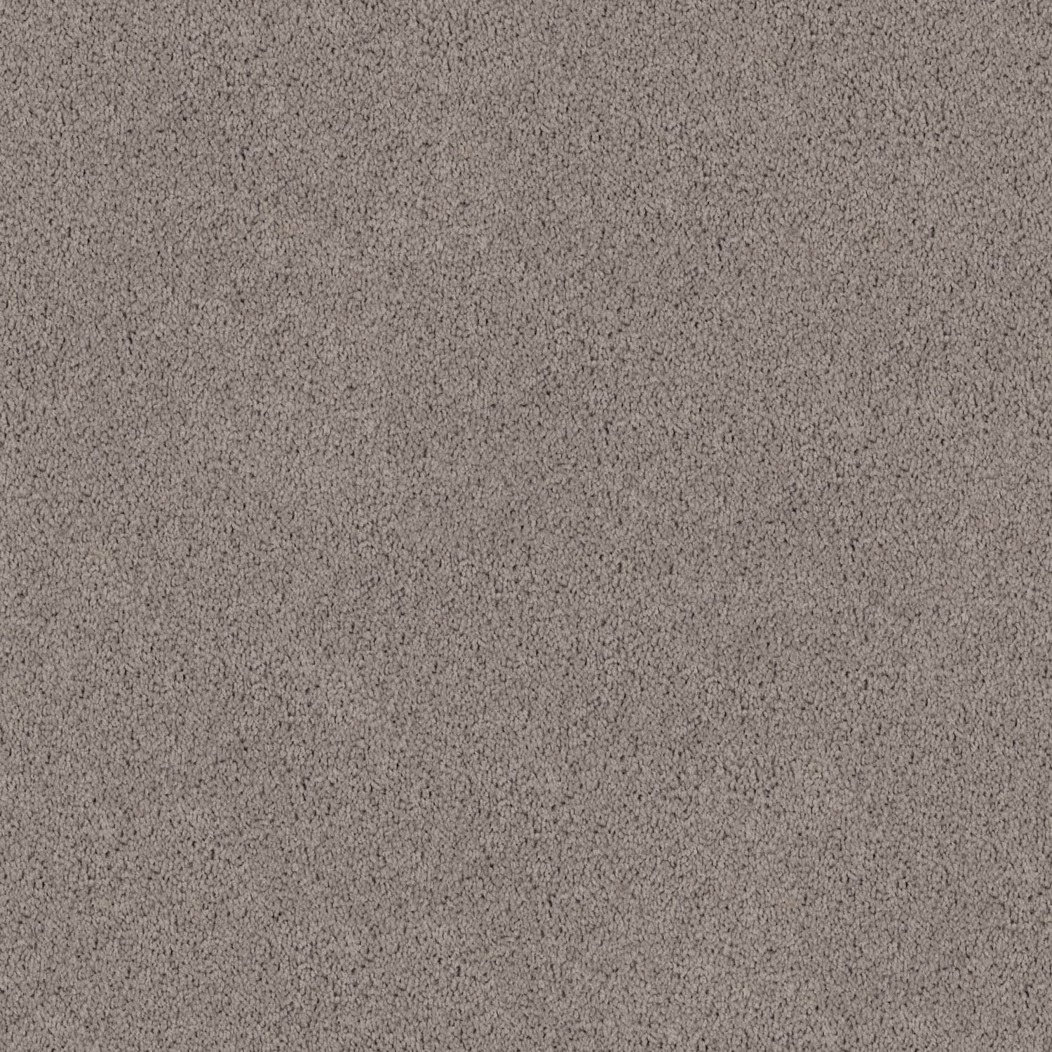 spring Shades — Spring Shades 90 Sea Fog