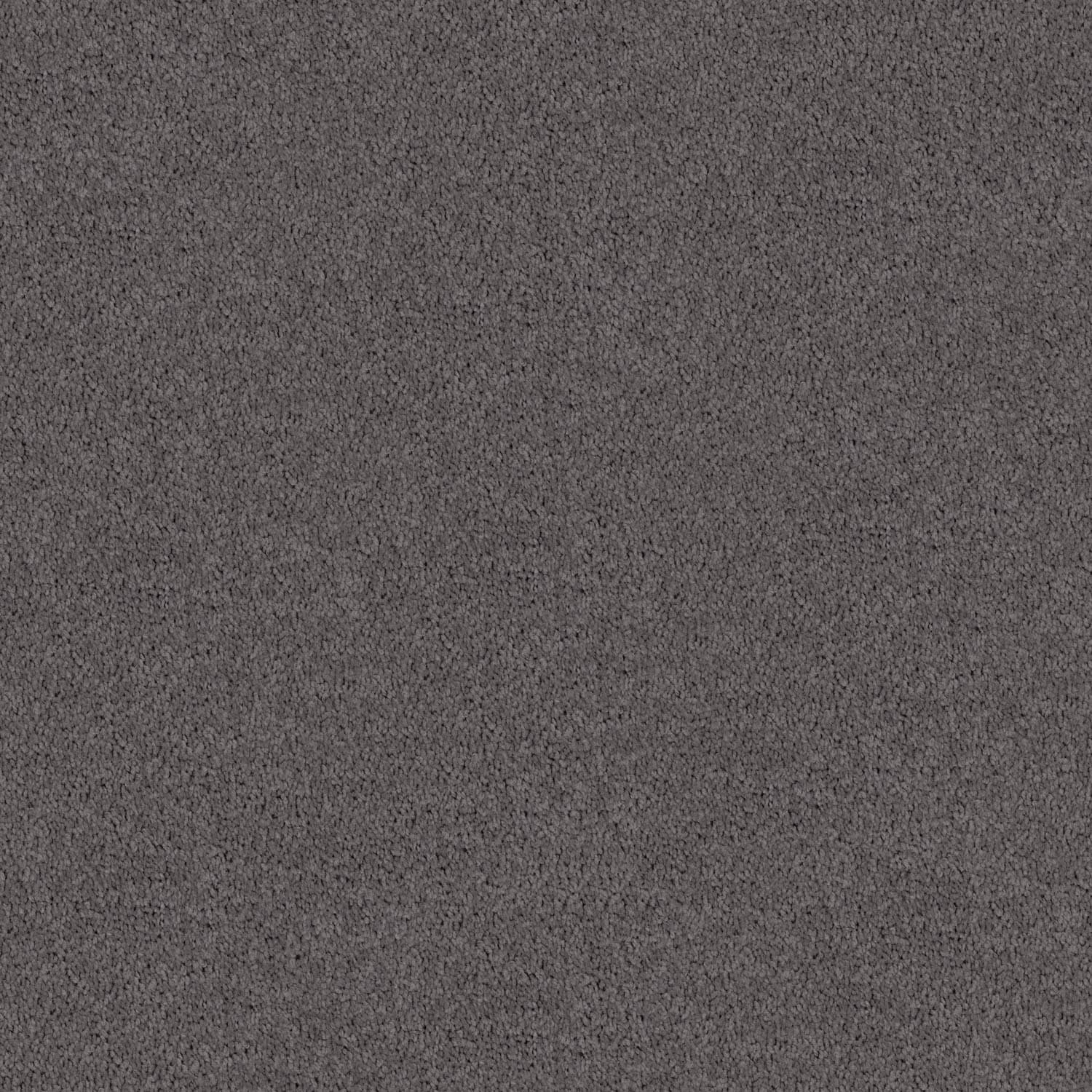 spring Shades — Spring Shades 91 Lead