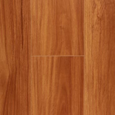 Australian Species HD series — Sydney Blue Gum
