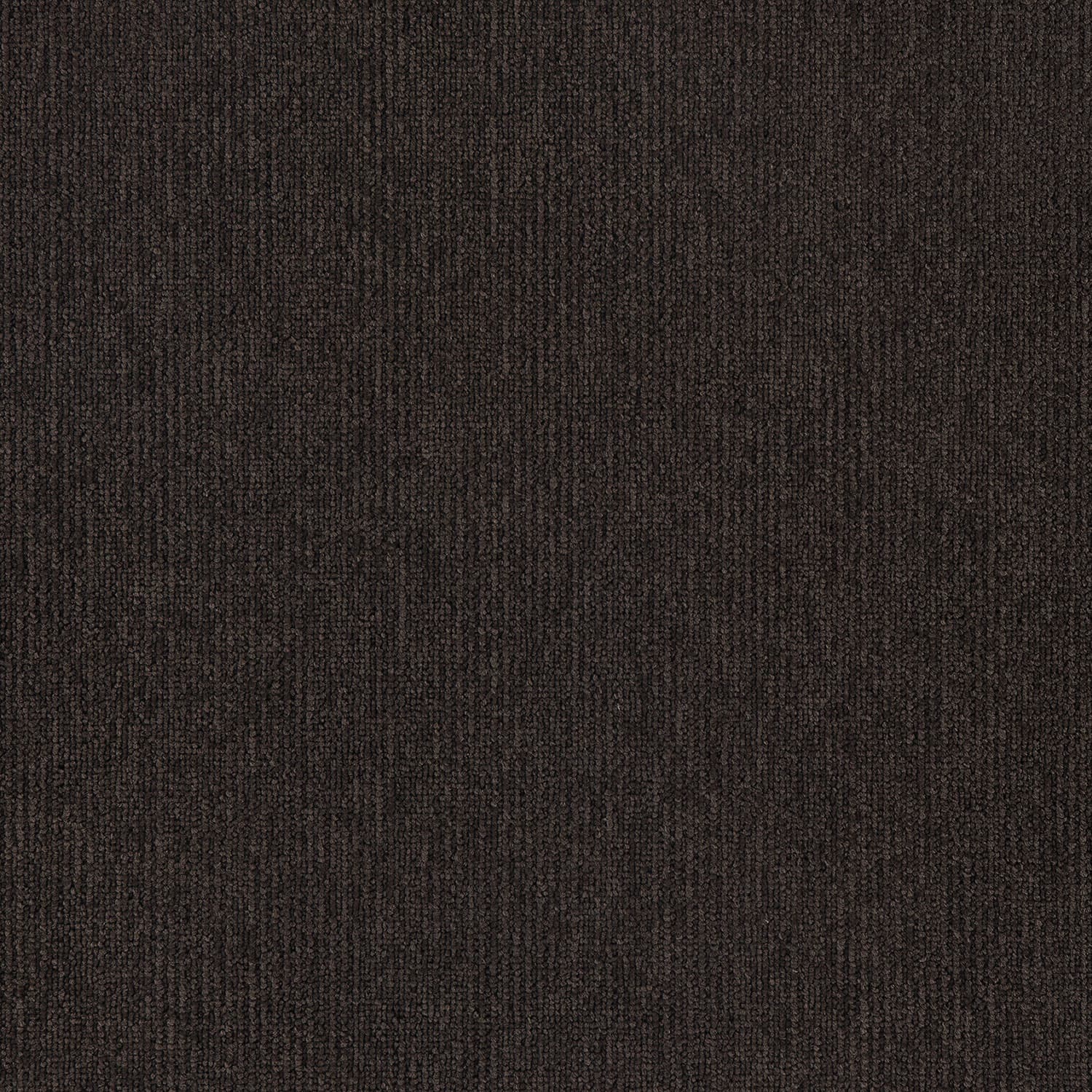Elegance — Terrain
