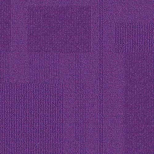 Paragon Collection — VIOLET 22122D