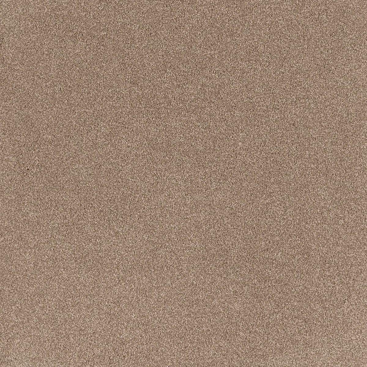 Comfort Touch — Warmth 9131