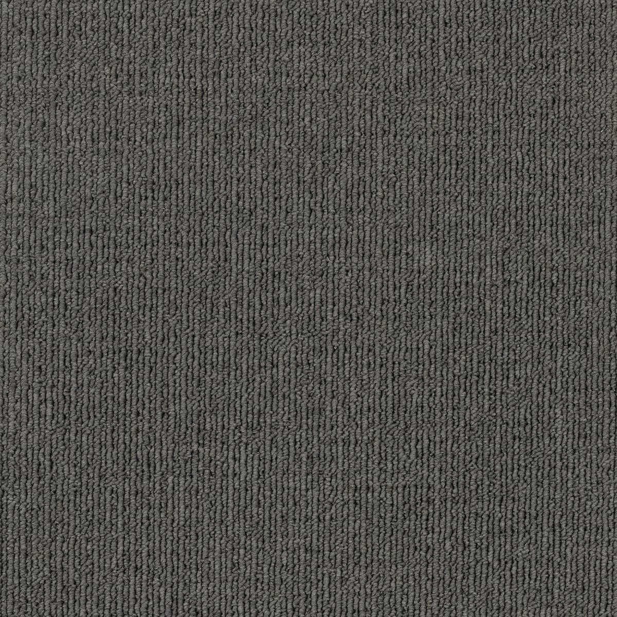 Savanna — Wattle