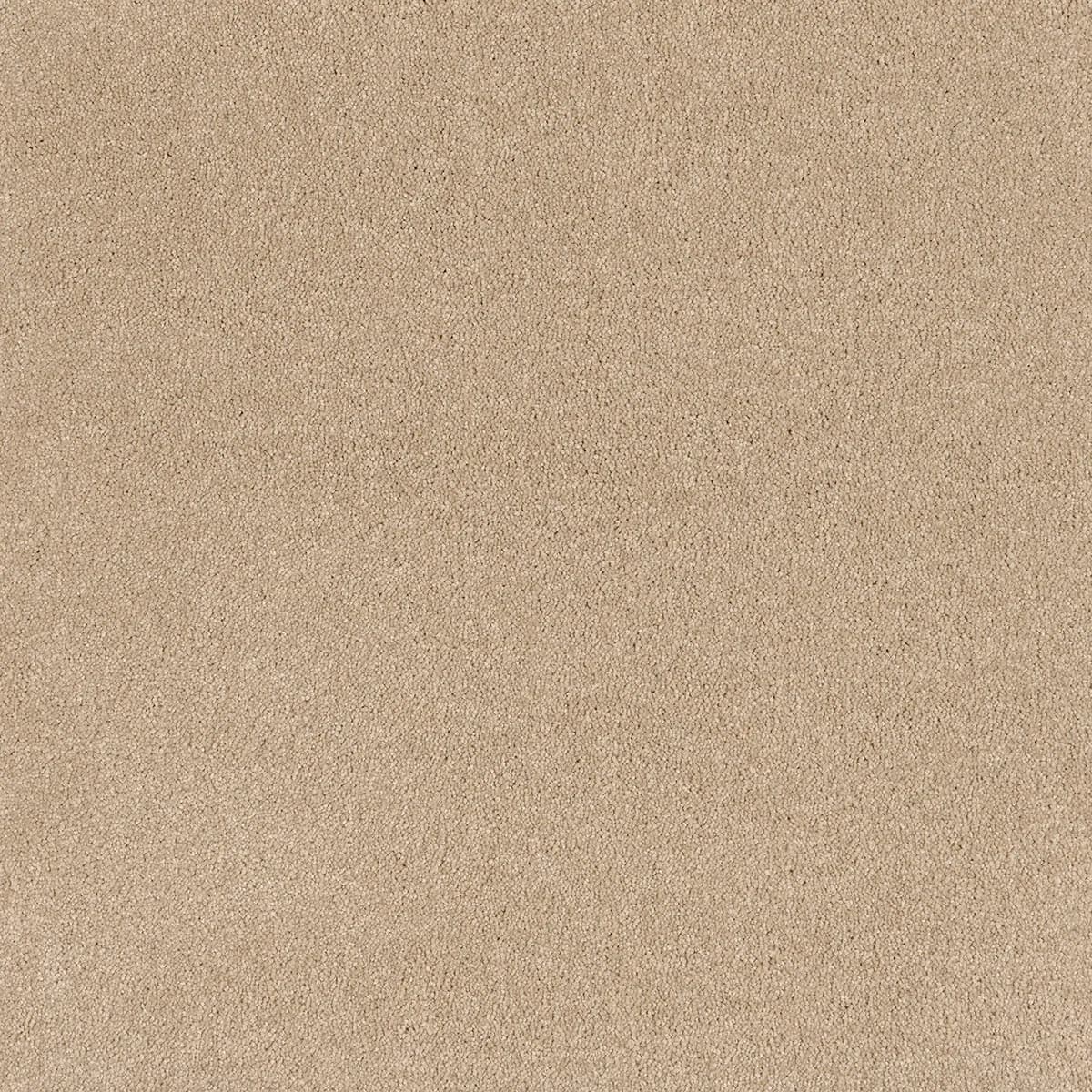 Comfort Touch — Zen 9137