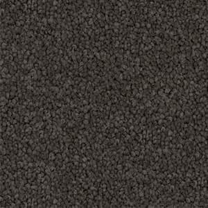 Darling Cove — Black Trend