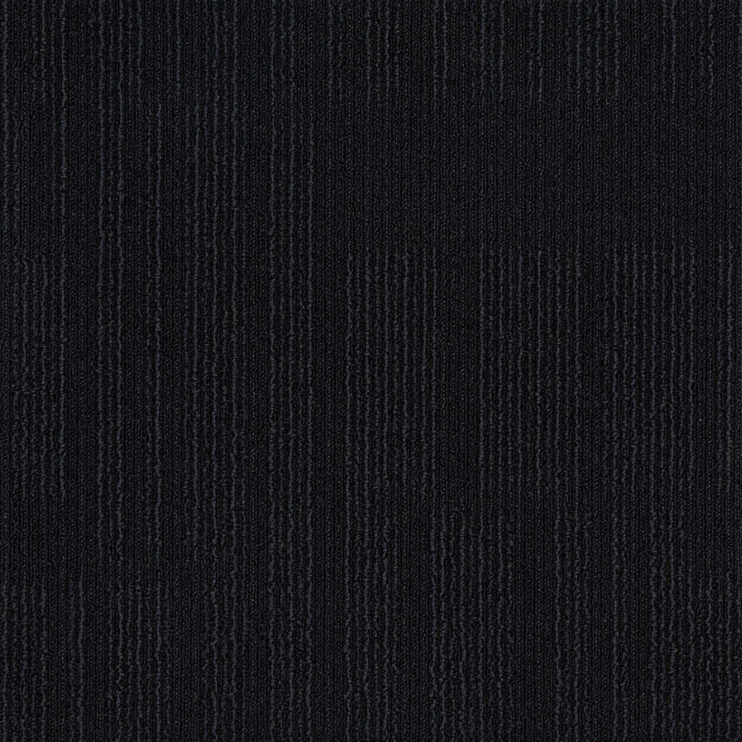 Sierra Collection — Coal Small