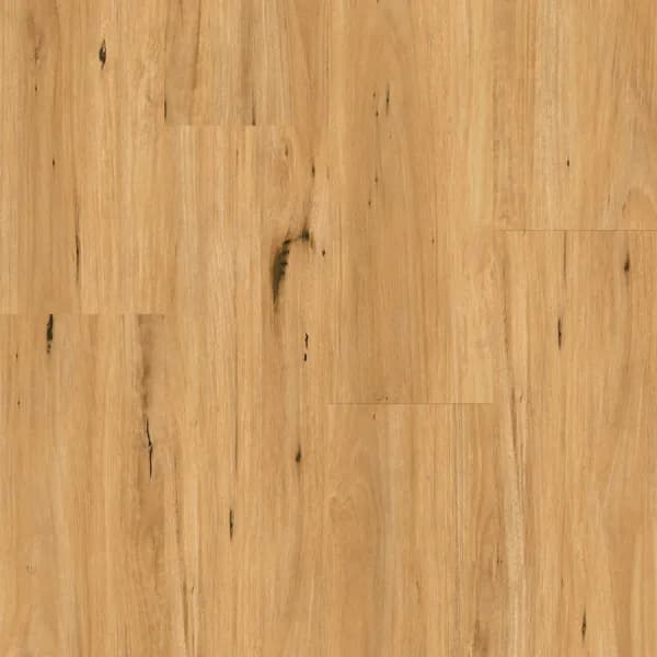 Ornato XXL 8.0mm — Coastal Blackbutt Swatch Web