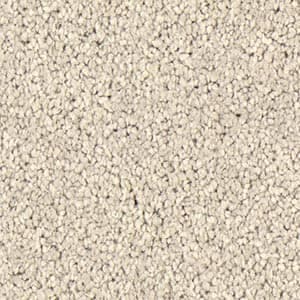 Regal Elegance — Old Parchmate