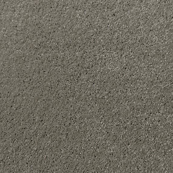 Cashmere Touch — P Cashmere Touch Lush Voluptuous
