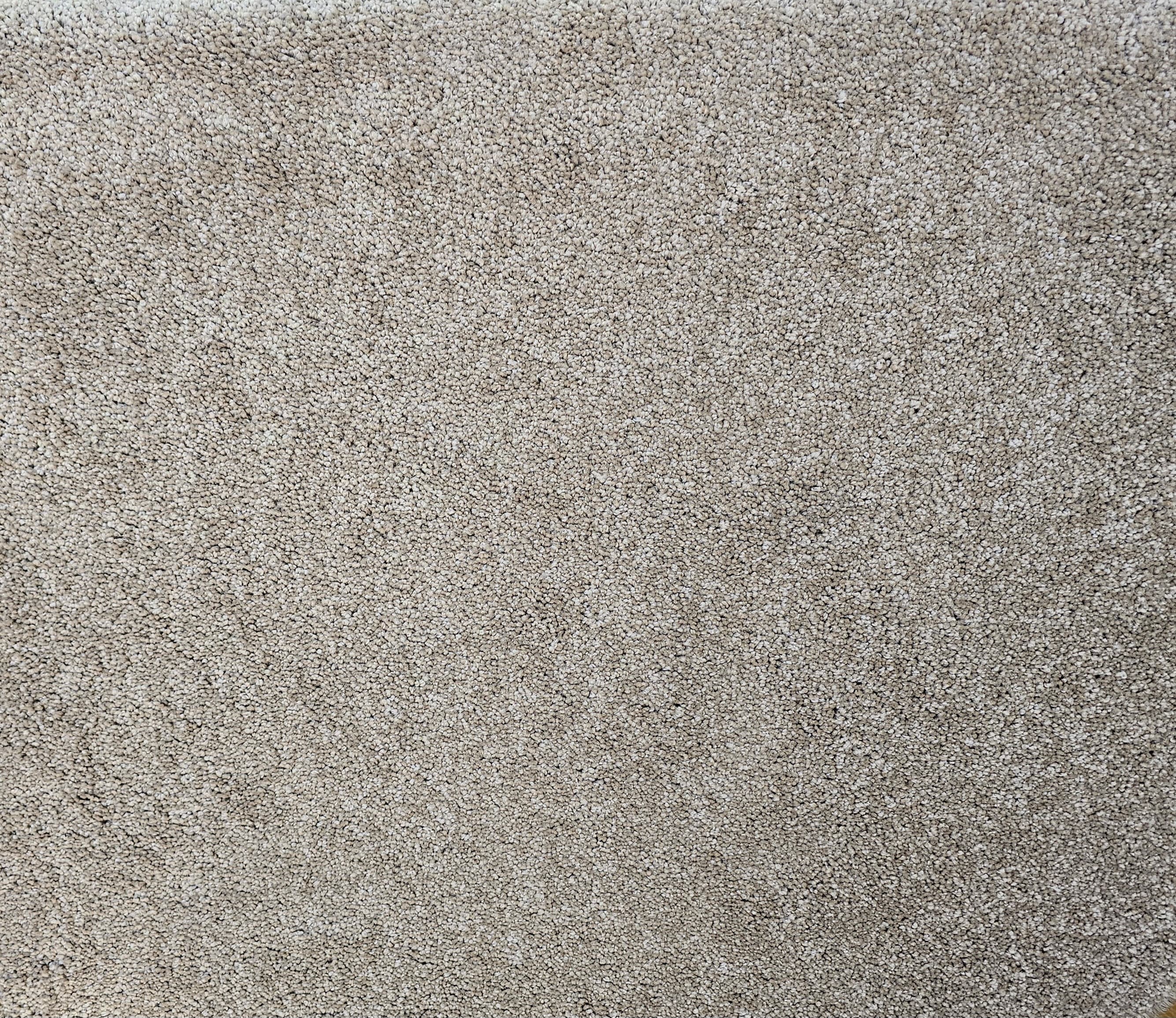 1: VICTORIA RANGE CARPET — 20250520 105203