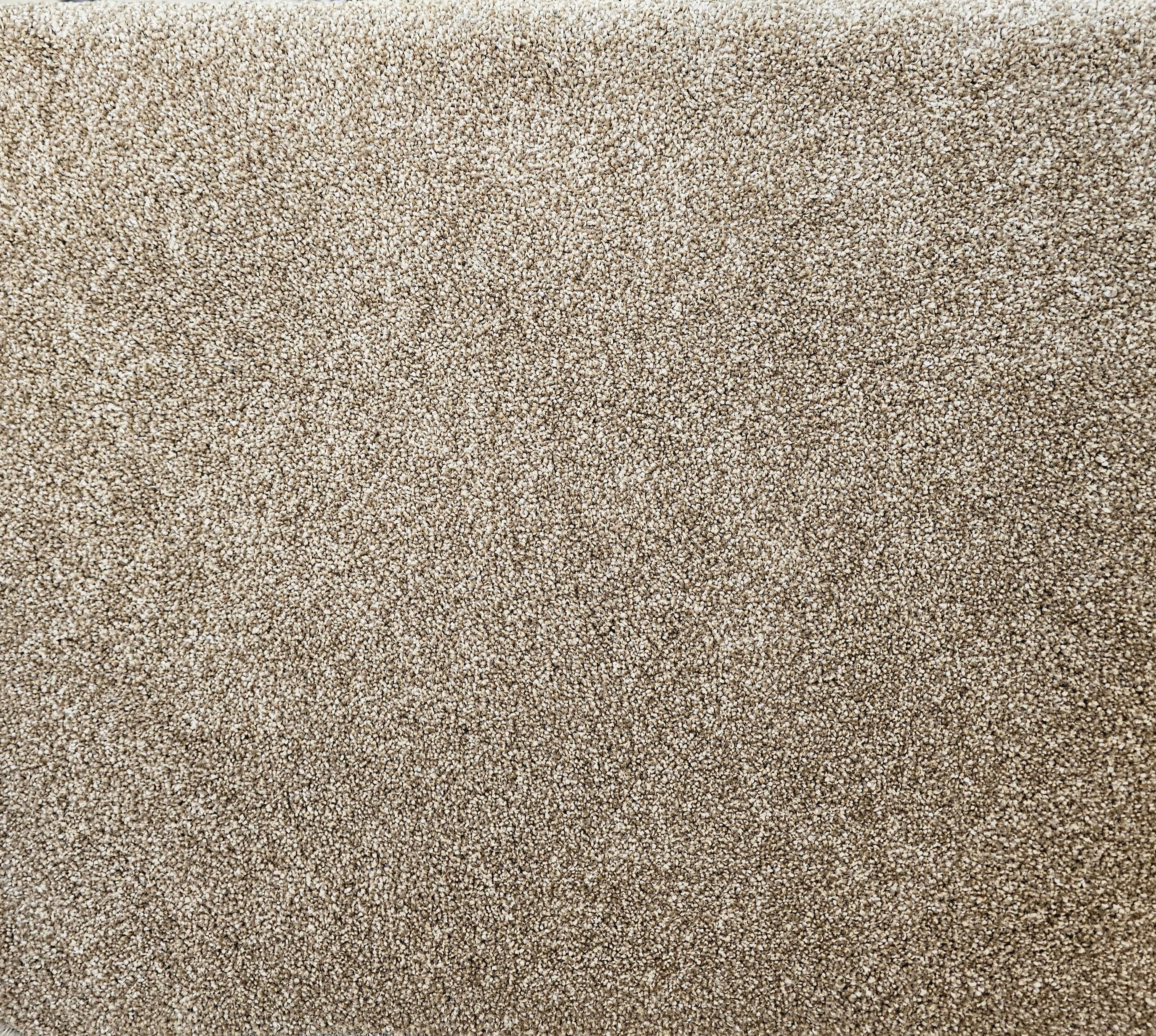 1: VICTORIA RANGE CARPET — 20250520 105455
